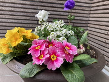 �����񍐎ʐ^